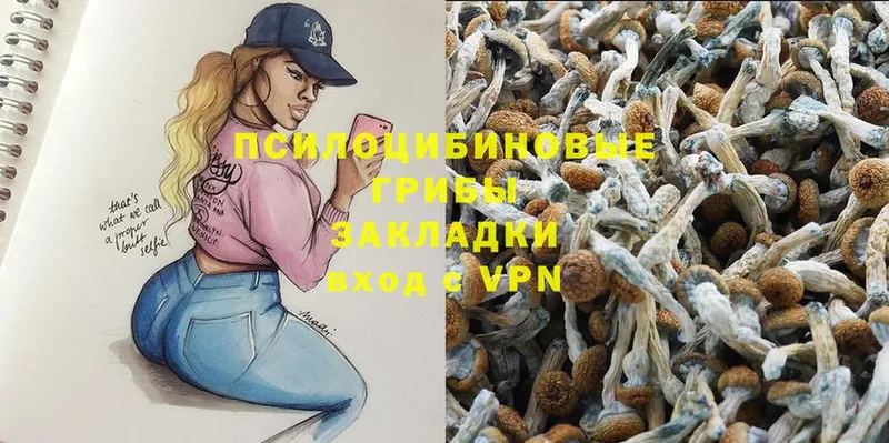 Псилоцибиновые грибы Psilocybine cubensis  купить   МЕГА как войти  Нарткала 